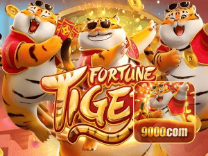 Guia install APK 9000 BET BR
